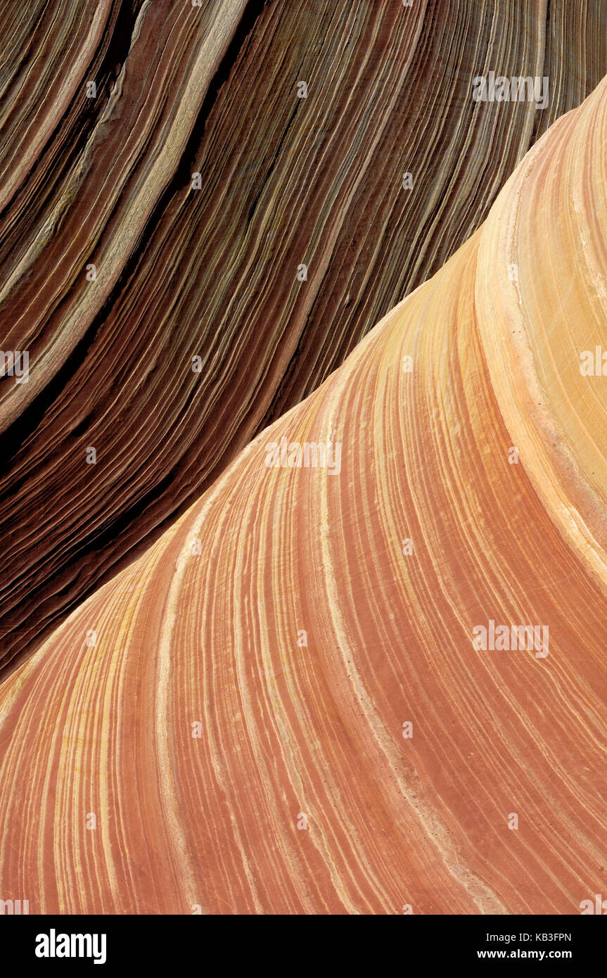 Coyote buttress, den USA, Stockfoto