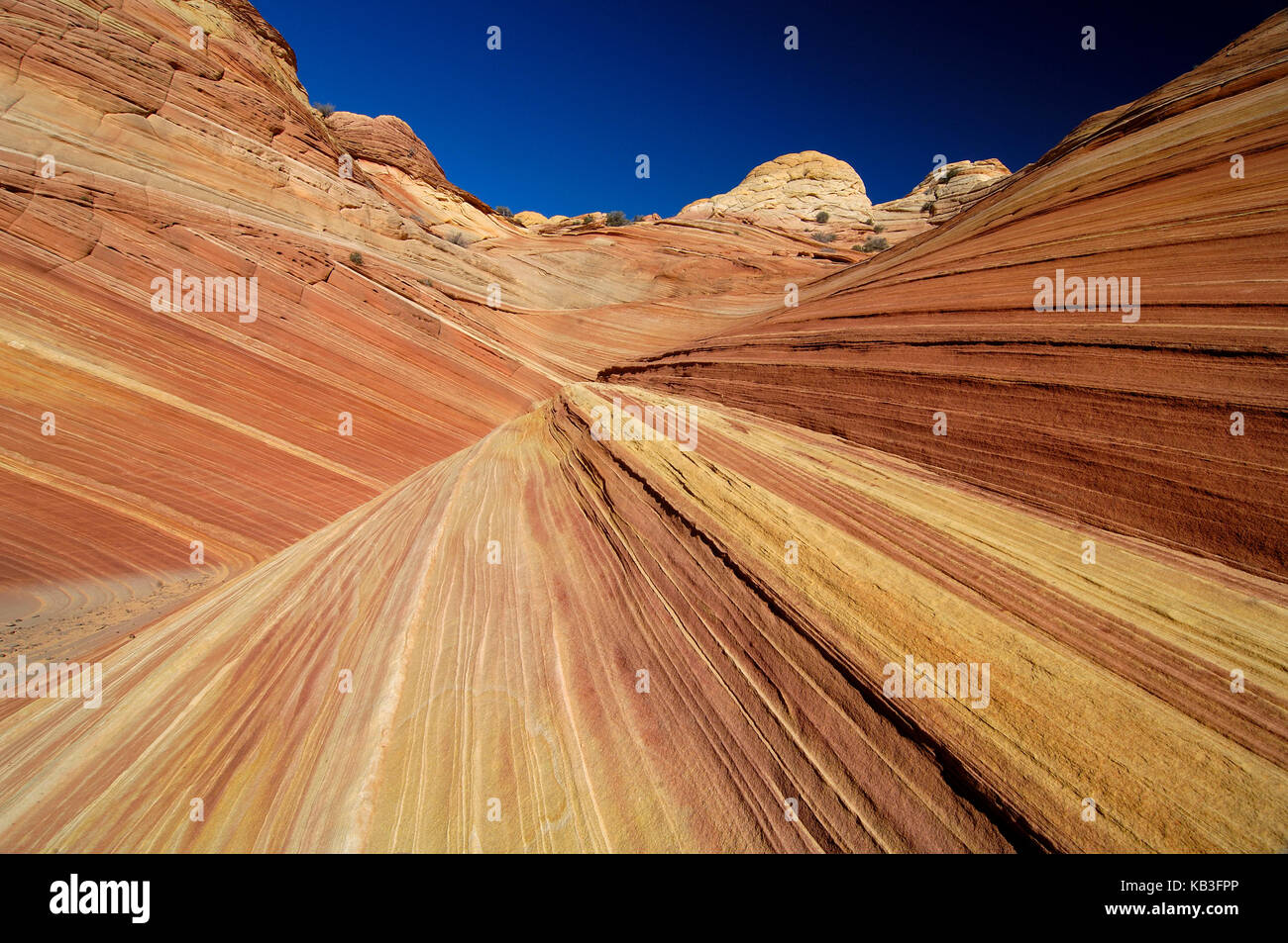 Coyote buttress, den USA, Stockfoto