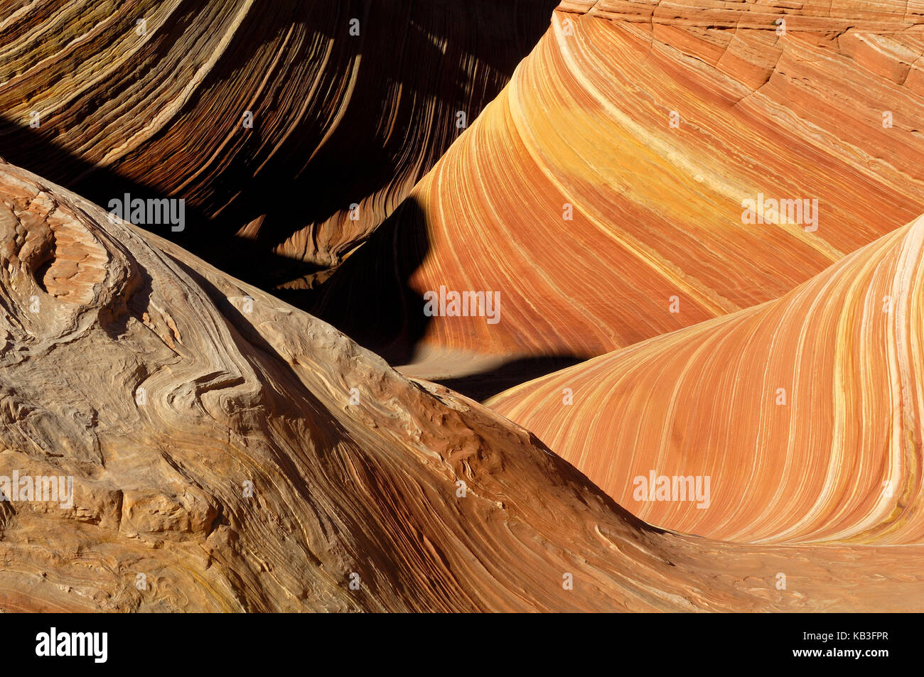 Coyote buttress, den USA, Stockfoto