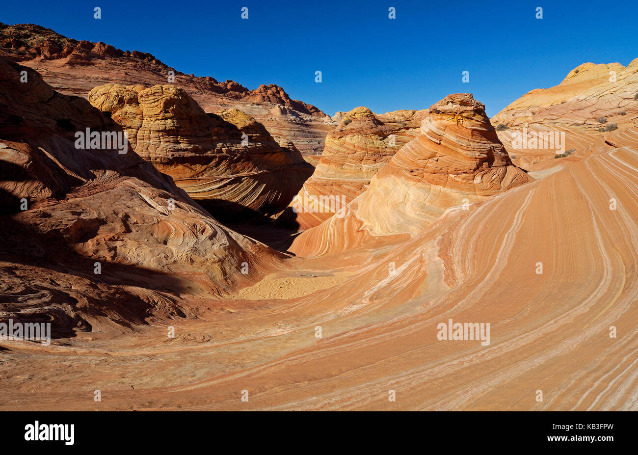 Coyote buttress, den USA, Stockfoto