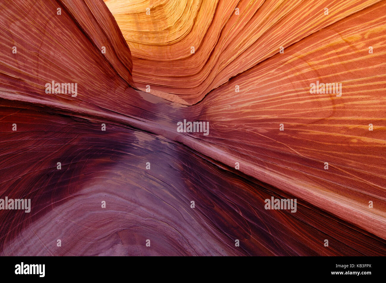 Coyote buttress, den USA, Stockfoto
