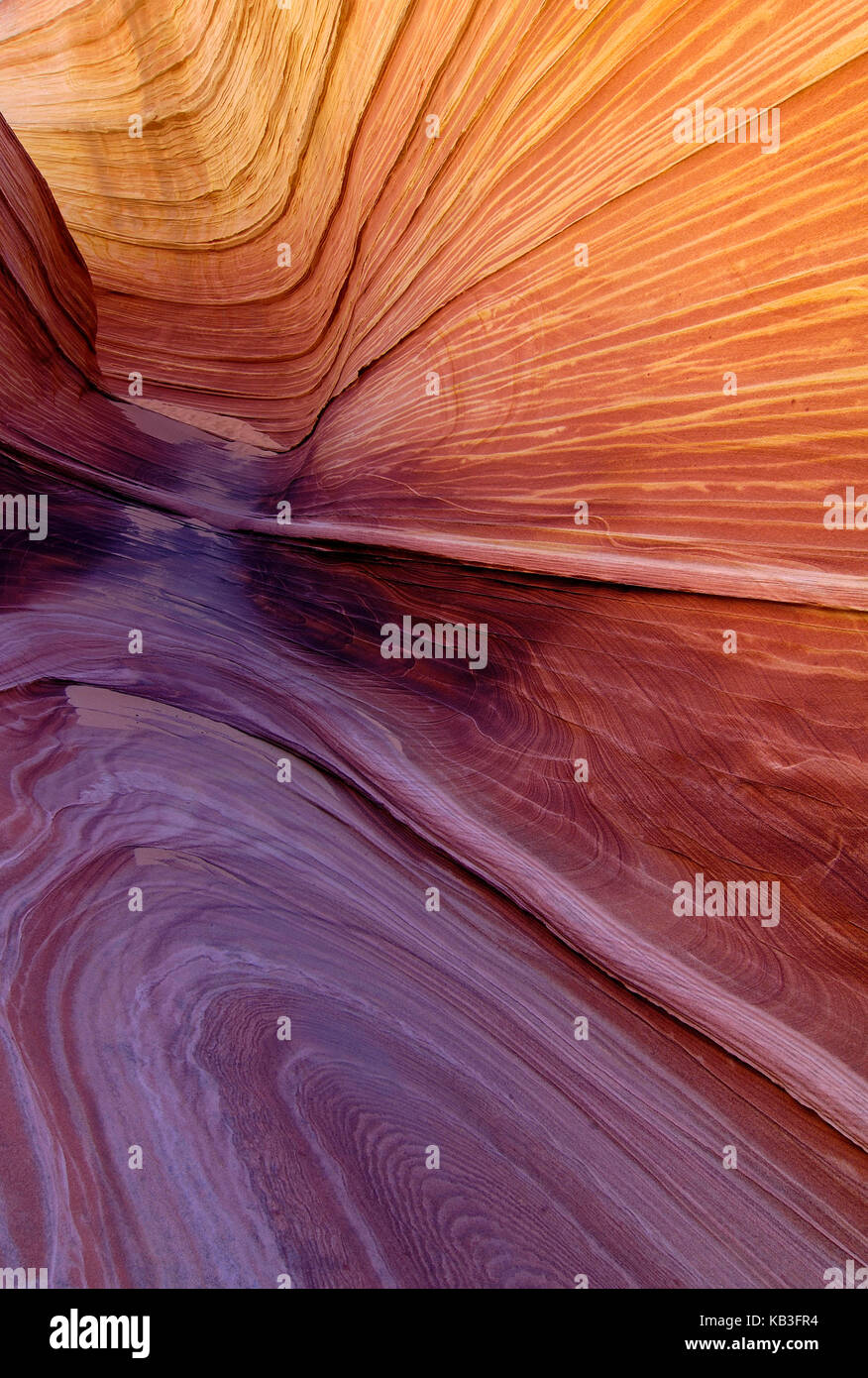 Coyote buttress, den USA, Stockfoto