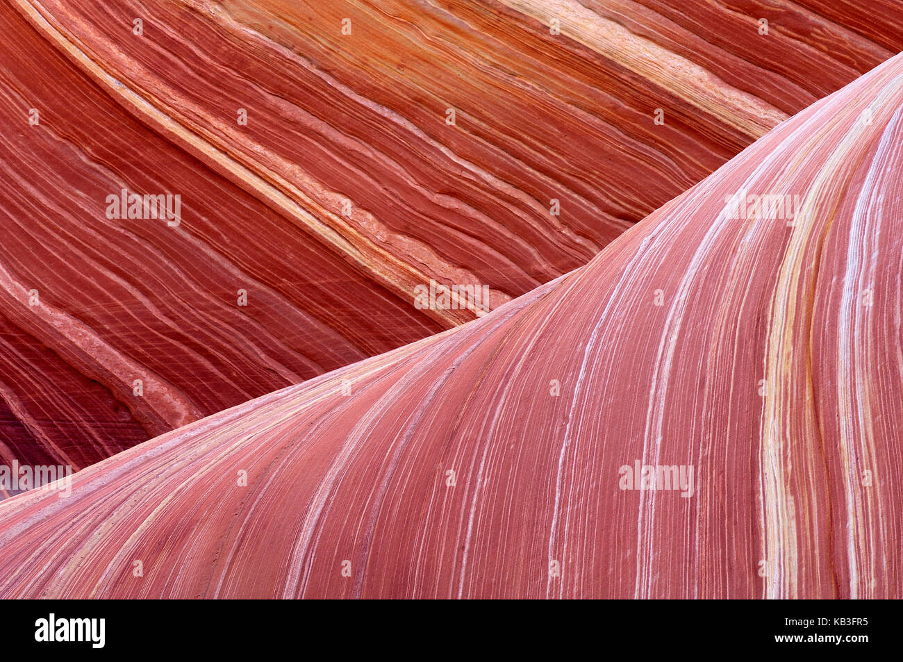 Coyote buttress, den USA, Stockfoto