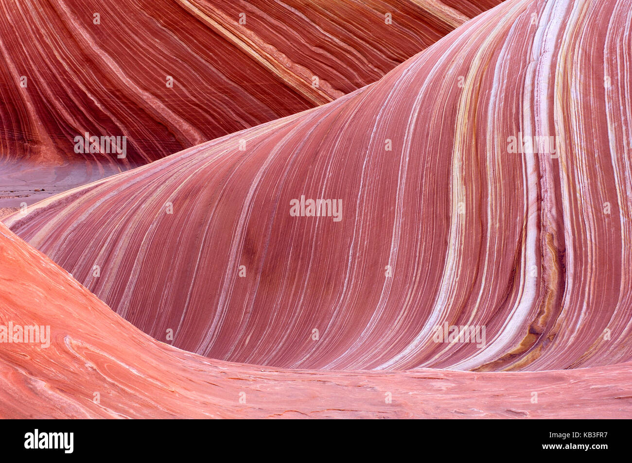 Coyote buttress, den USA, Stockfoto