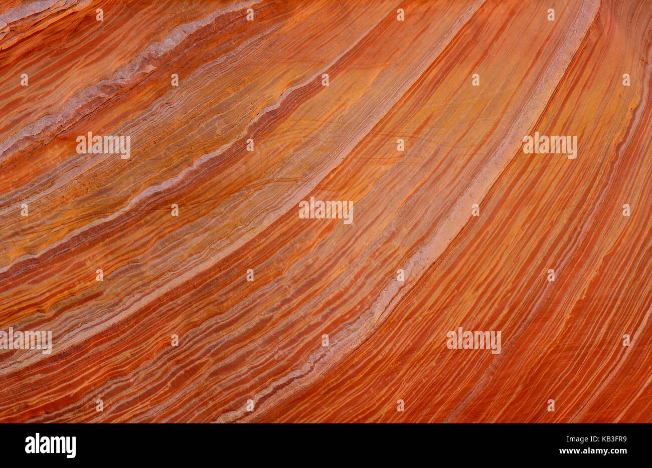 Coyote buttress, den USA, Stockfoto