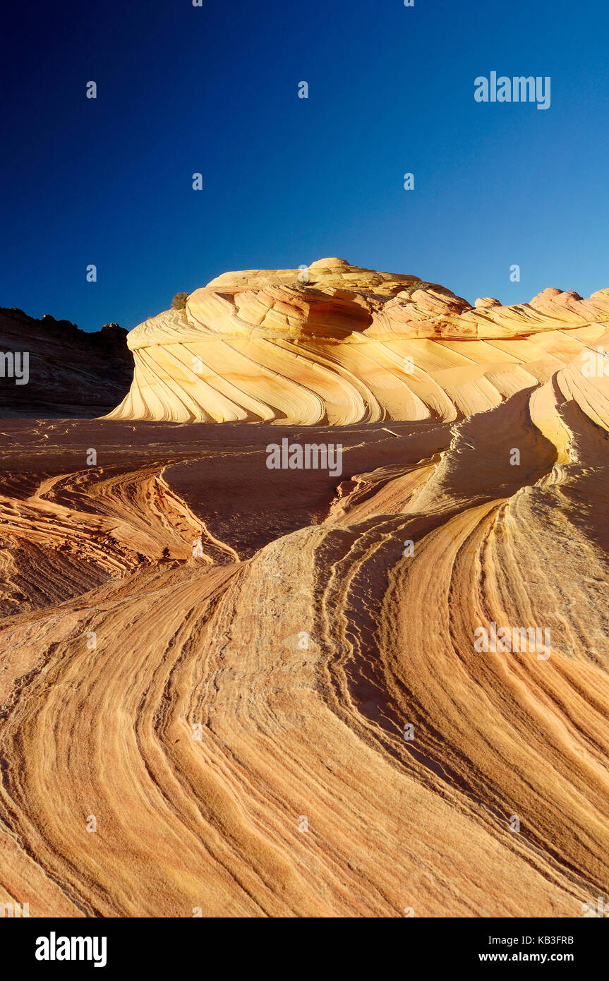 Coyote buttress, den USA, Stockfoto