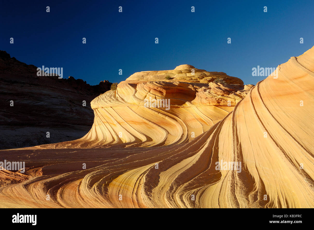 Coyote buttress, den USA, Stockfoto