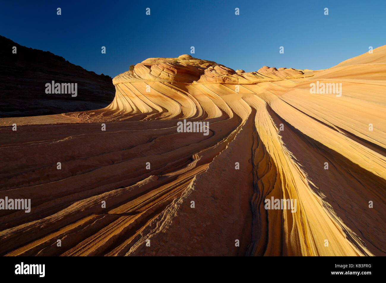 Coyote buttress, den USA, Stockfoto