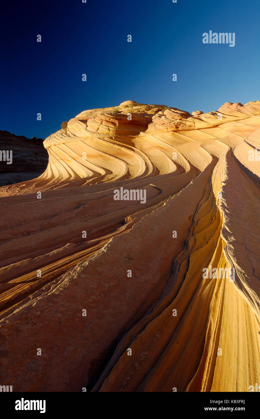 Coyote buttress, den USA, Stockfoto