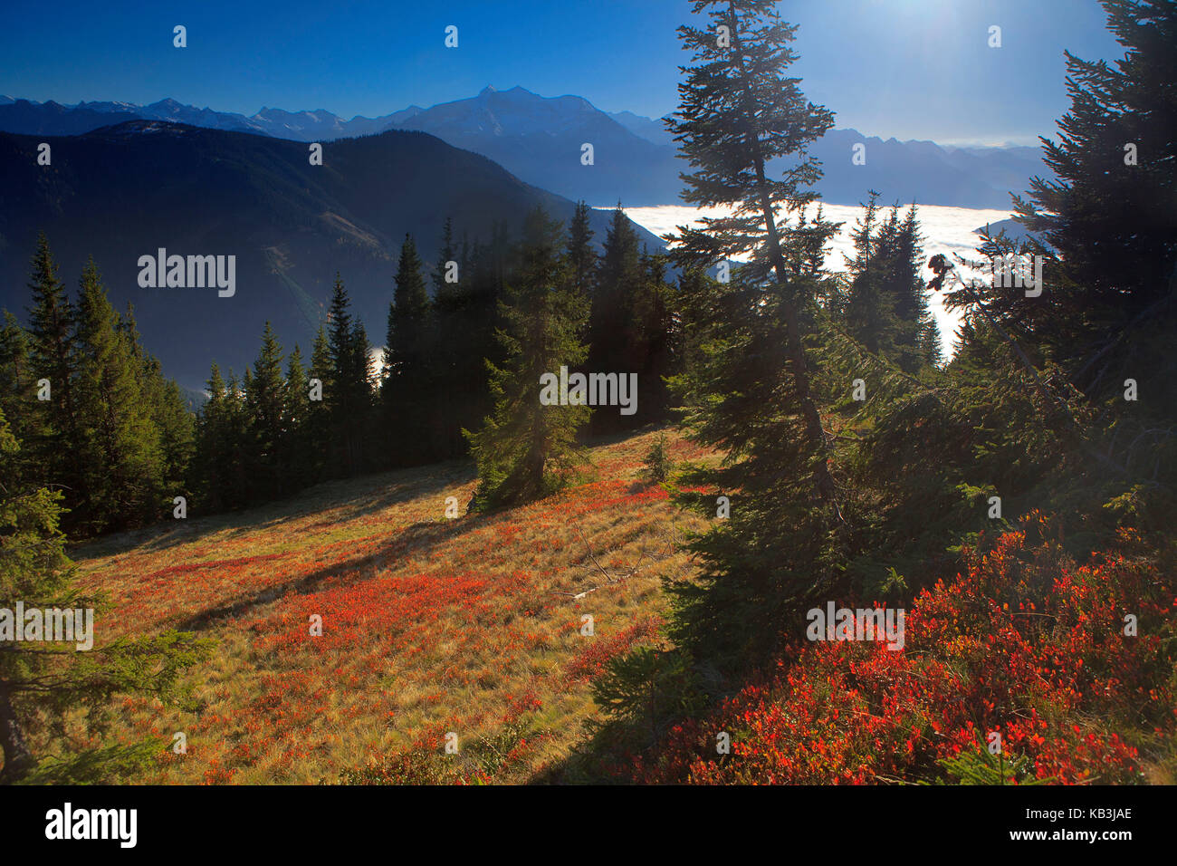 Zell am See, Alp Landschaft gegen hohe Tauern (Berge), Stockfoto