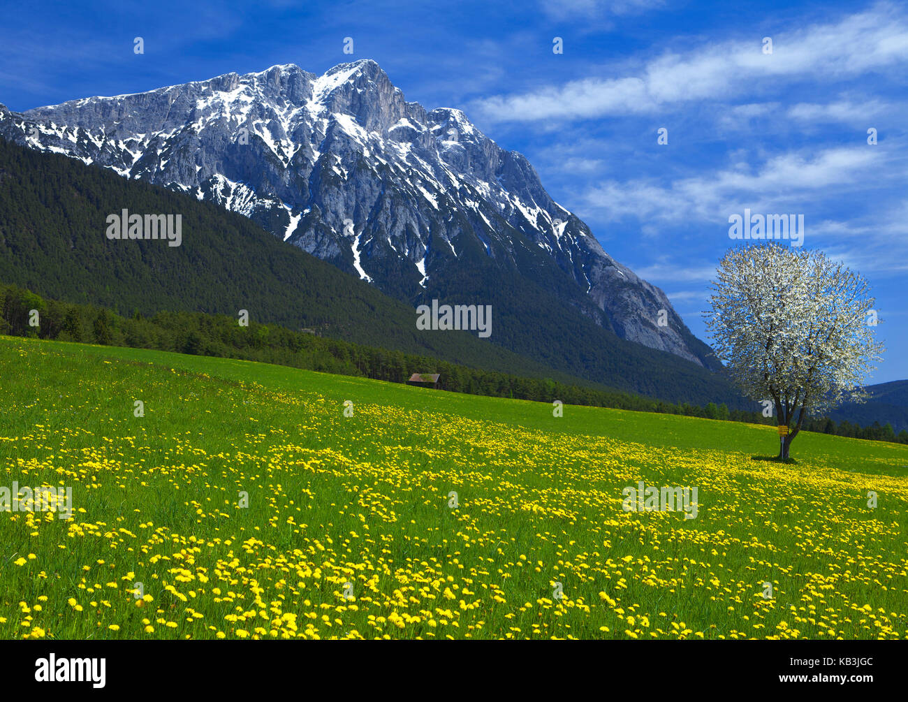 Österreich, Tirol, wildermieming, hohe munde (Berg), Stockfoto