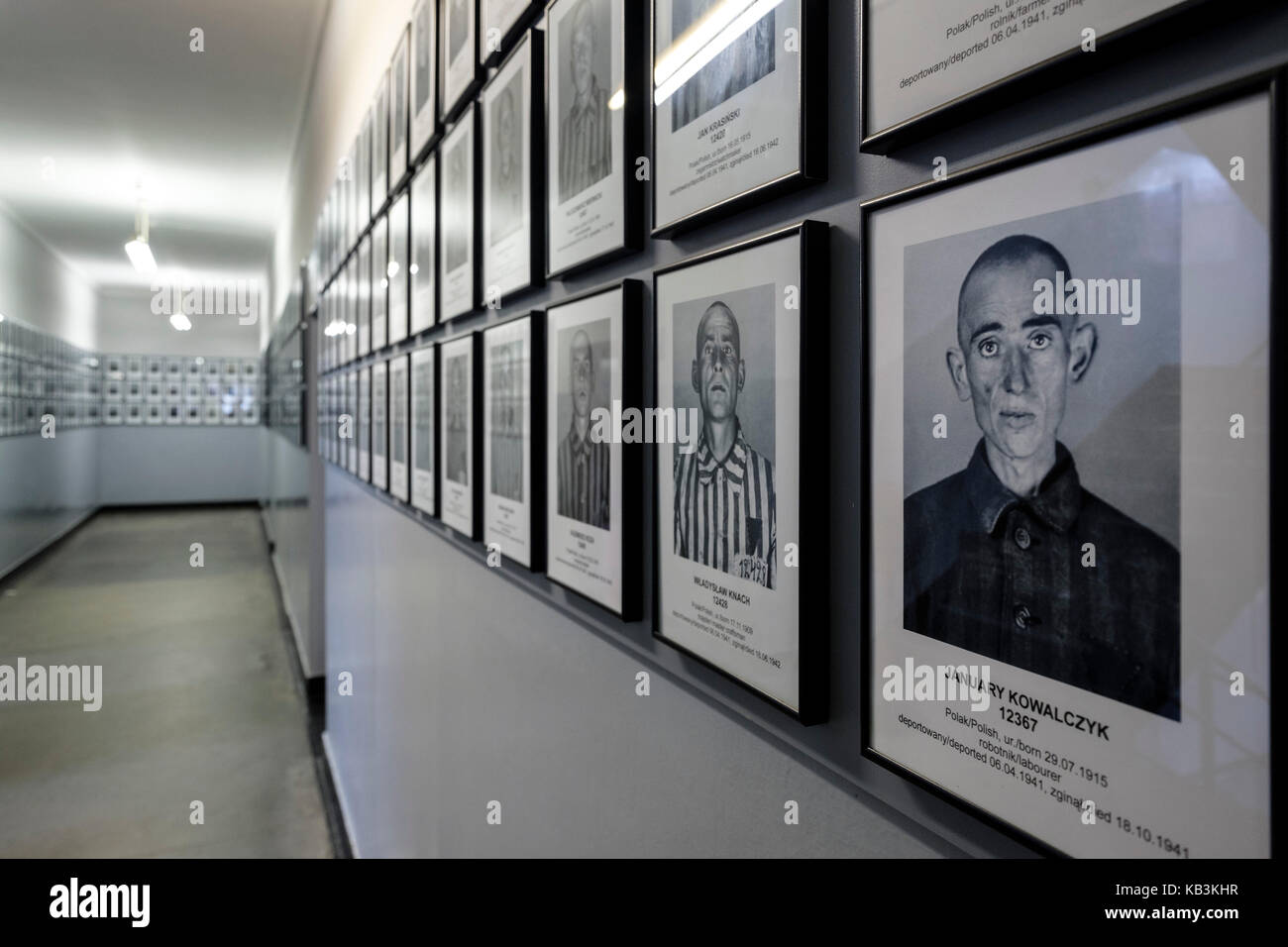 Porträts von Gefangenen auf dem zweiten Weltkrieg NS-Konzentrationslager Auschwitz Museum, Polen Stockfoto
