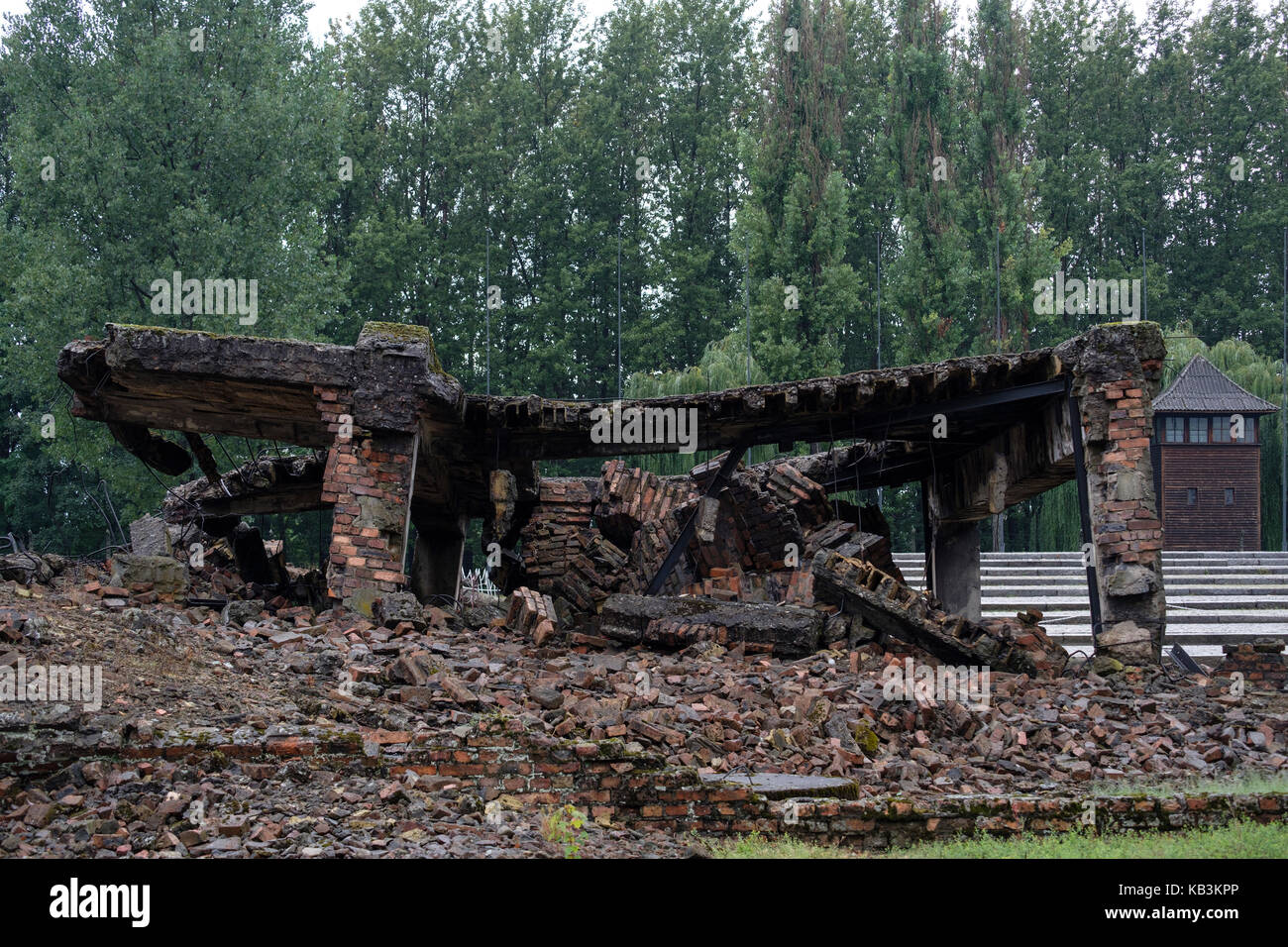 Ruinen der Gaskammern in Auschwitz II Birkenau WWII Nazi Konzentrationslager, Polen Stockfoto