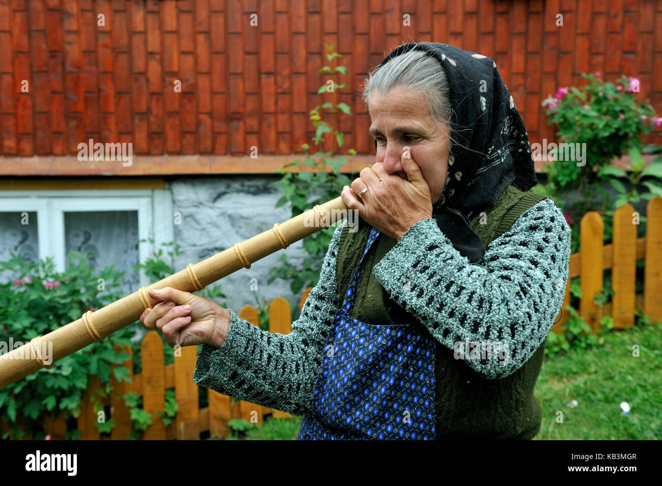Rumänien, Siebenbürgen, Karpaten, munti Apuseni, das Land der Moti, Aries Tal, Frauen spielen Musik mit einem tulnic, patrahitesti Stockfoto