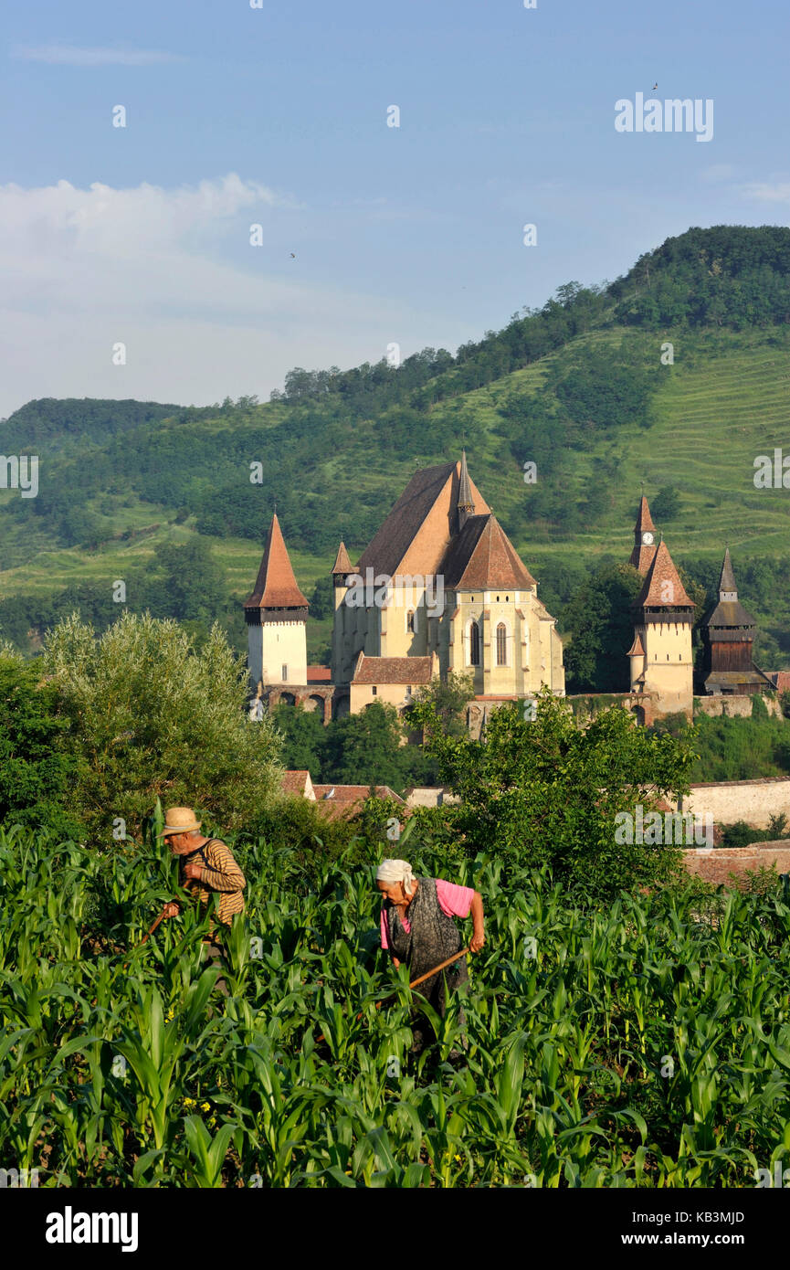 Rumänien, Siebenbürgen, Dorf und Zitadelle von Biertan, Teil von Dörfern mit befestigten Kirchen in Siebenbürgen, die von der UNESCO zum Weltkulturerbe erklärt wurden Stockfoto