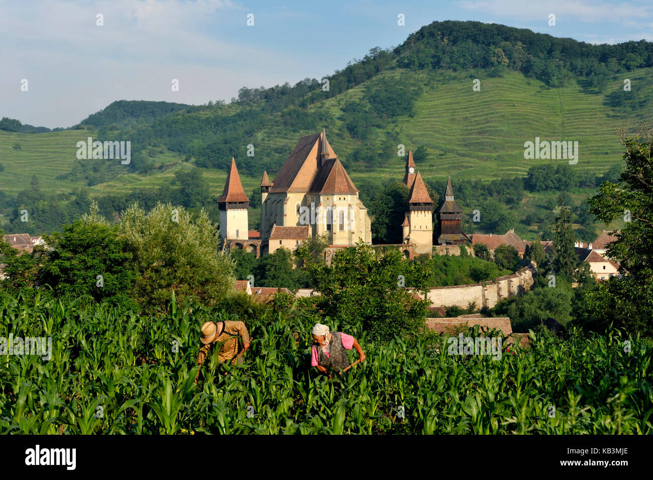 Rumänien, Siebenbürgen, Dorf und Zitadelle von Biertan, Teil von Dörfern mit befestigten Kirchen in Siebenbürgen, die von der UNESCO zum Weltkulturerbe erklärt wurden Stockfoto