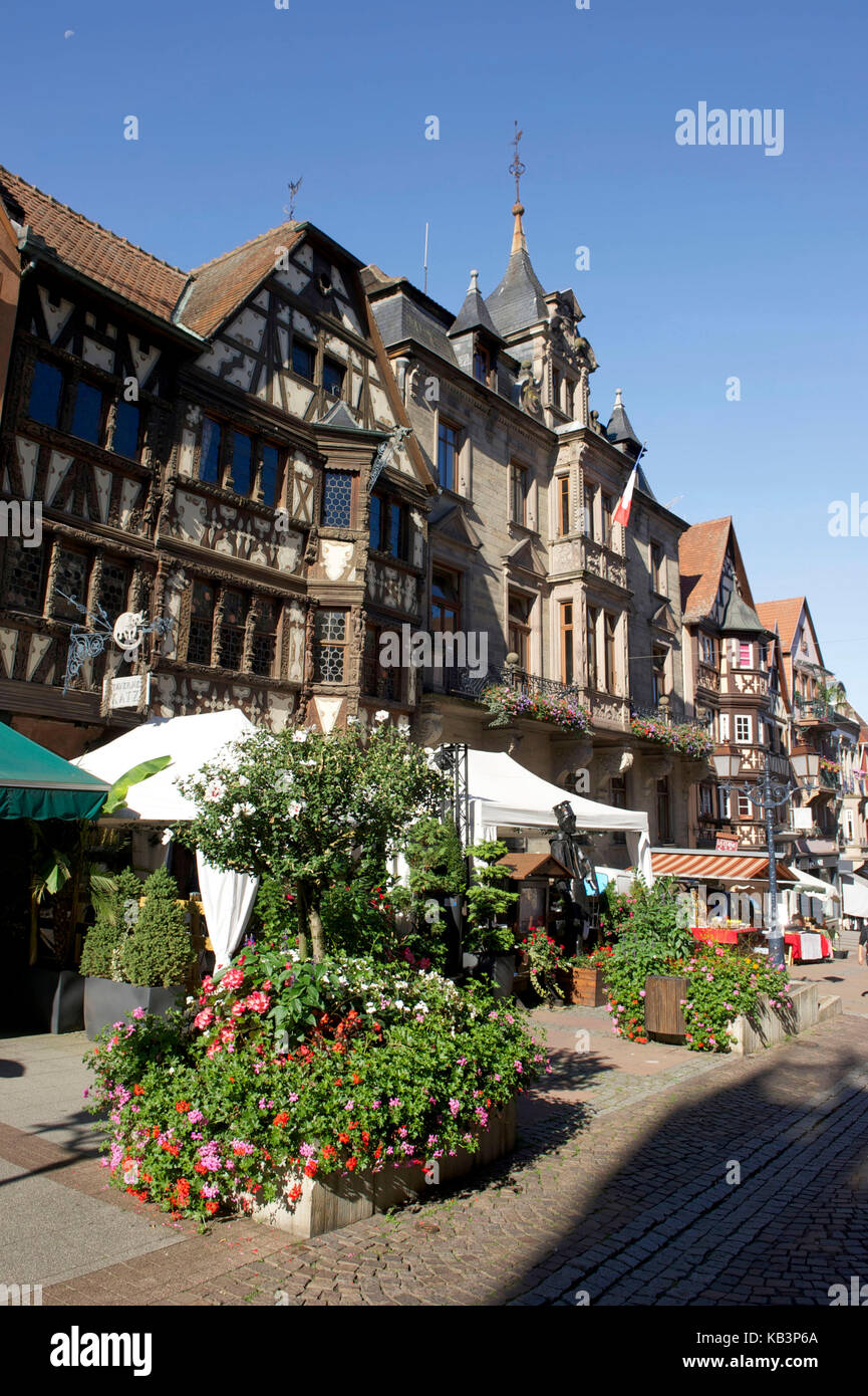 Frankreich saverne katz Fotos und Bildmaterial in hoher Auflösung Alamy