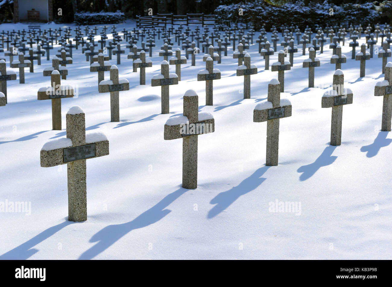Frankreich, Haut Rhin, Vogesen, Col de Wettstein über Orbey, Cimetiere du Linge, Soldatenfriedhof, Krieg von 1914-1918 Stockfoto
