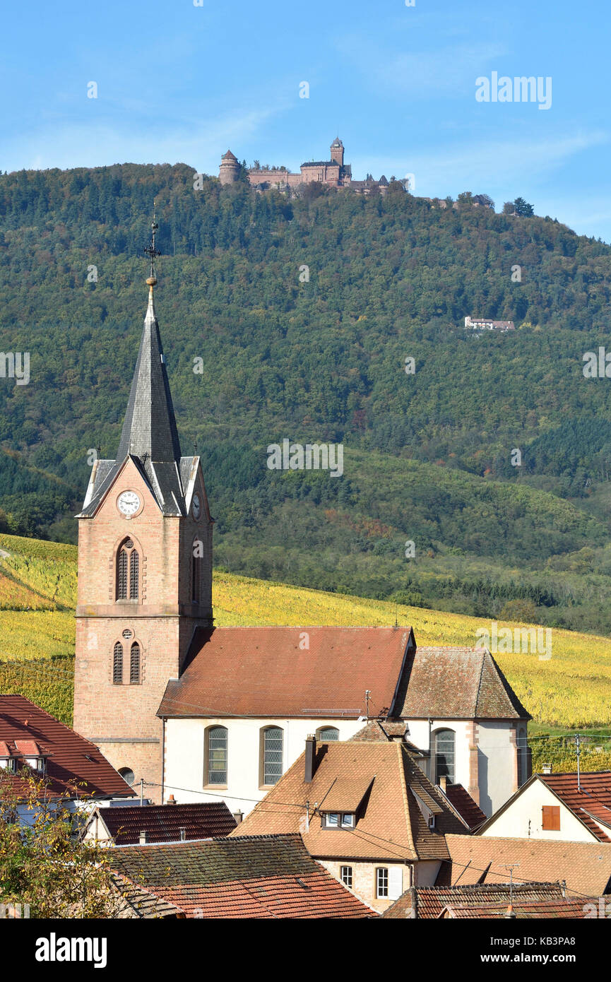 Frankreich, Bas Rhin, an der Weinstraße des Elsaß, Colmar Dorf und Haut Koenigsbourg schloss Stockfoto