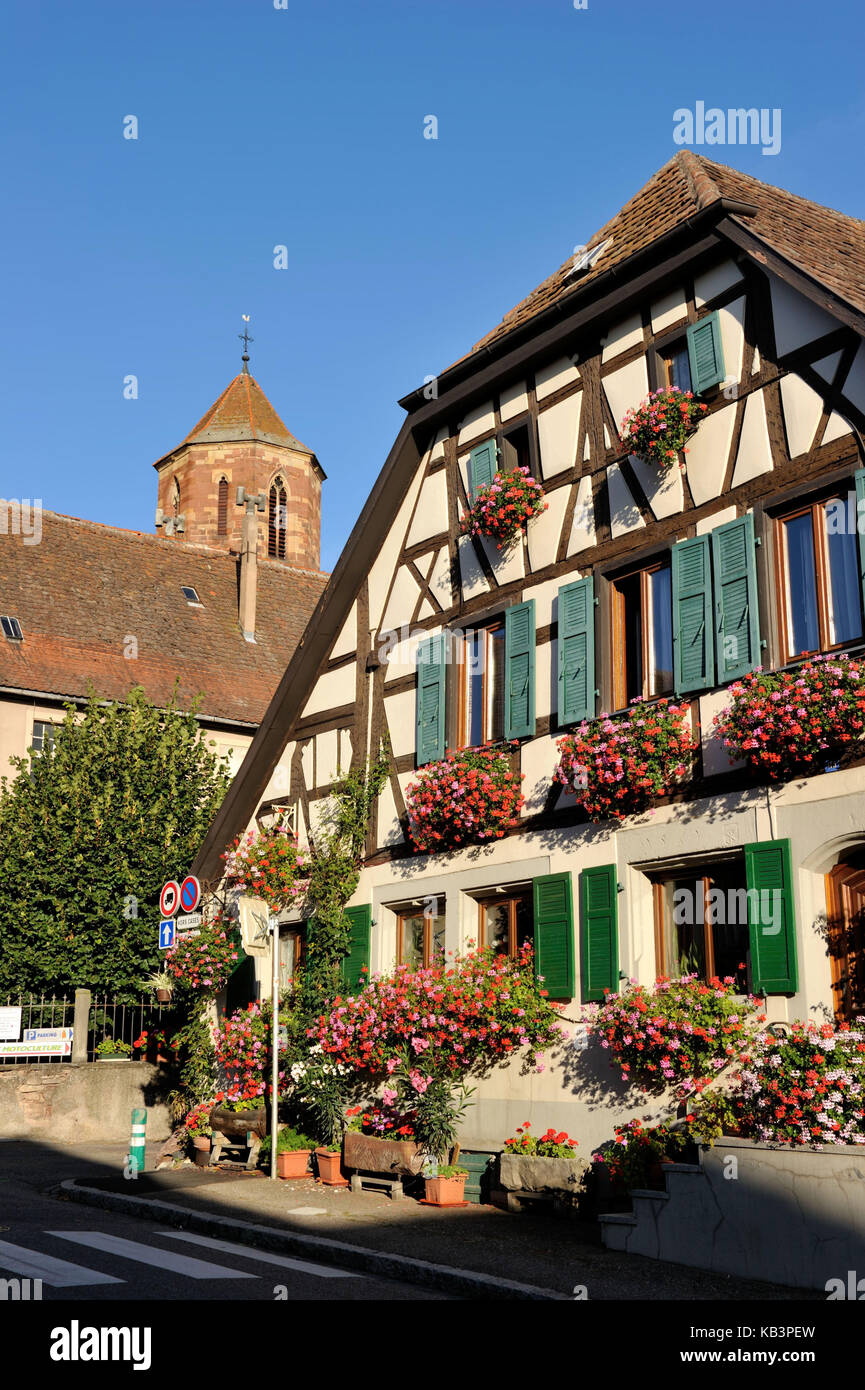Frankreich, Bas Rhin, Rosheim Village, General de Gaulle Street, St-Pierre und St-Paul römische Kirche Stockfoto