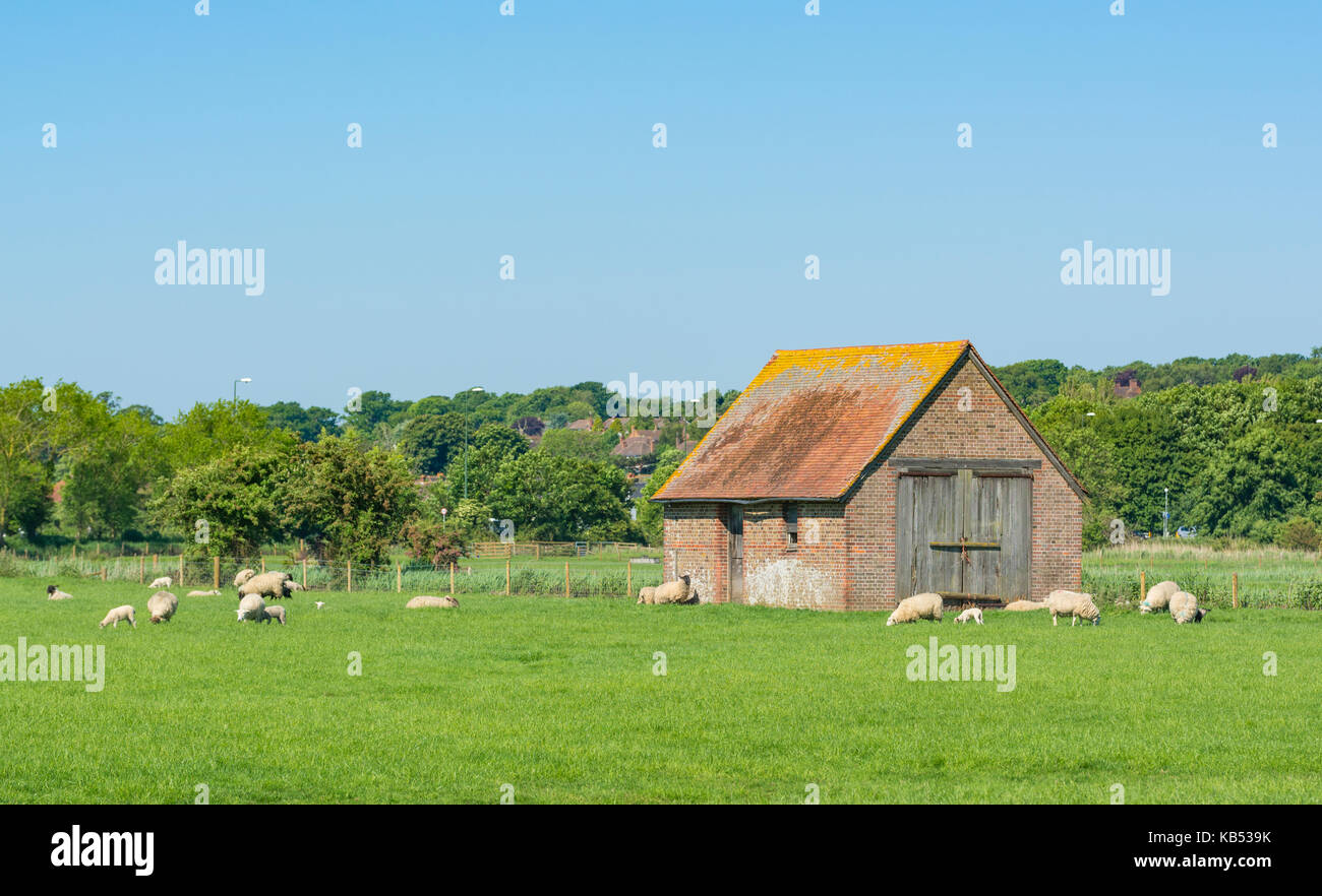 Backsteingebäude in einem Feld in der Britischen Landschaft. Stockfoto