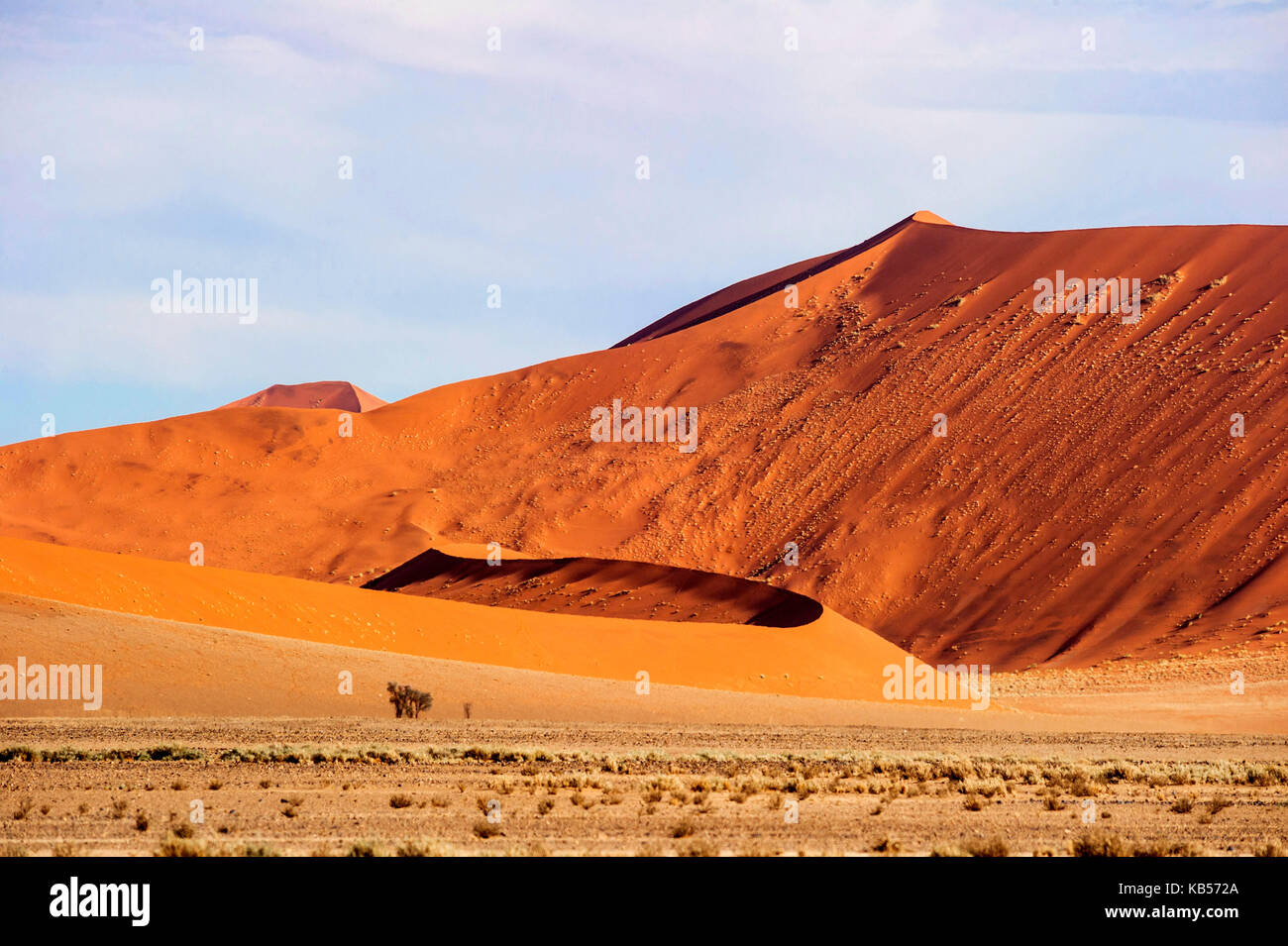 Namibia, otjozondjupa, Namib Wüste Namib - Naukluft National Park, Sossusvlei Dünen Stockfoto