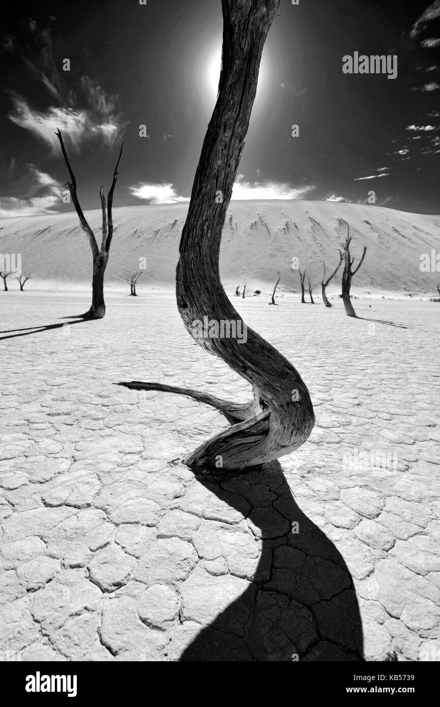 Namibia, otjozondjupa, Namib Wüste Namib - Naukluft National Park, Sossusvlei Dünen, Dead Vlei Stockfoto