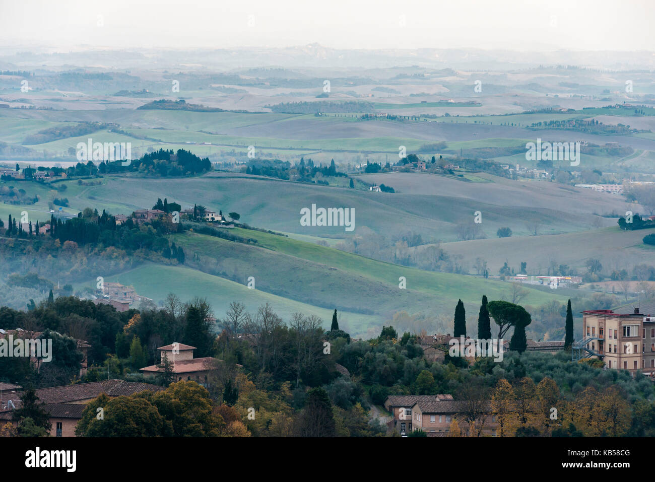 Glatt und endlosen grünen Hügeln der Toskana in der Nähe von Siena Ort Stockfoto