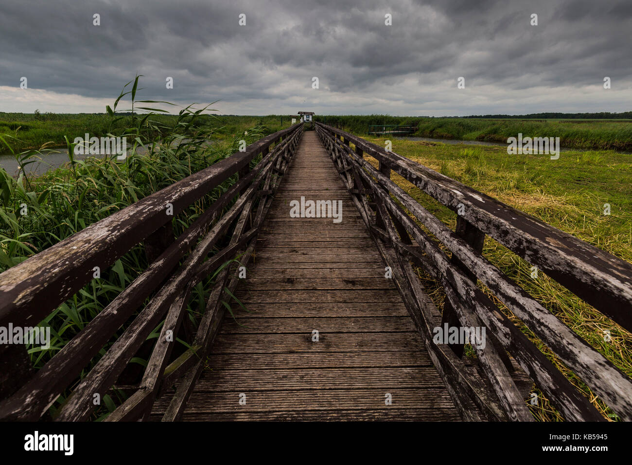Europa, Polen, Woiwodschaft Podlachien, narew Nationalpark, waniewo