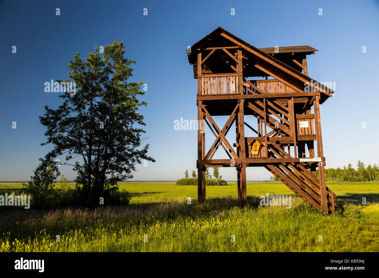 Europa, Polen, Woiwodschaft Podlachien, carska Straße Stockfoto