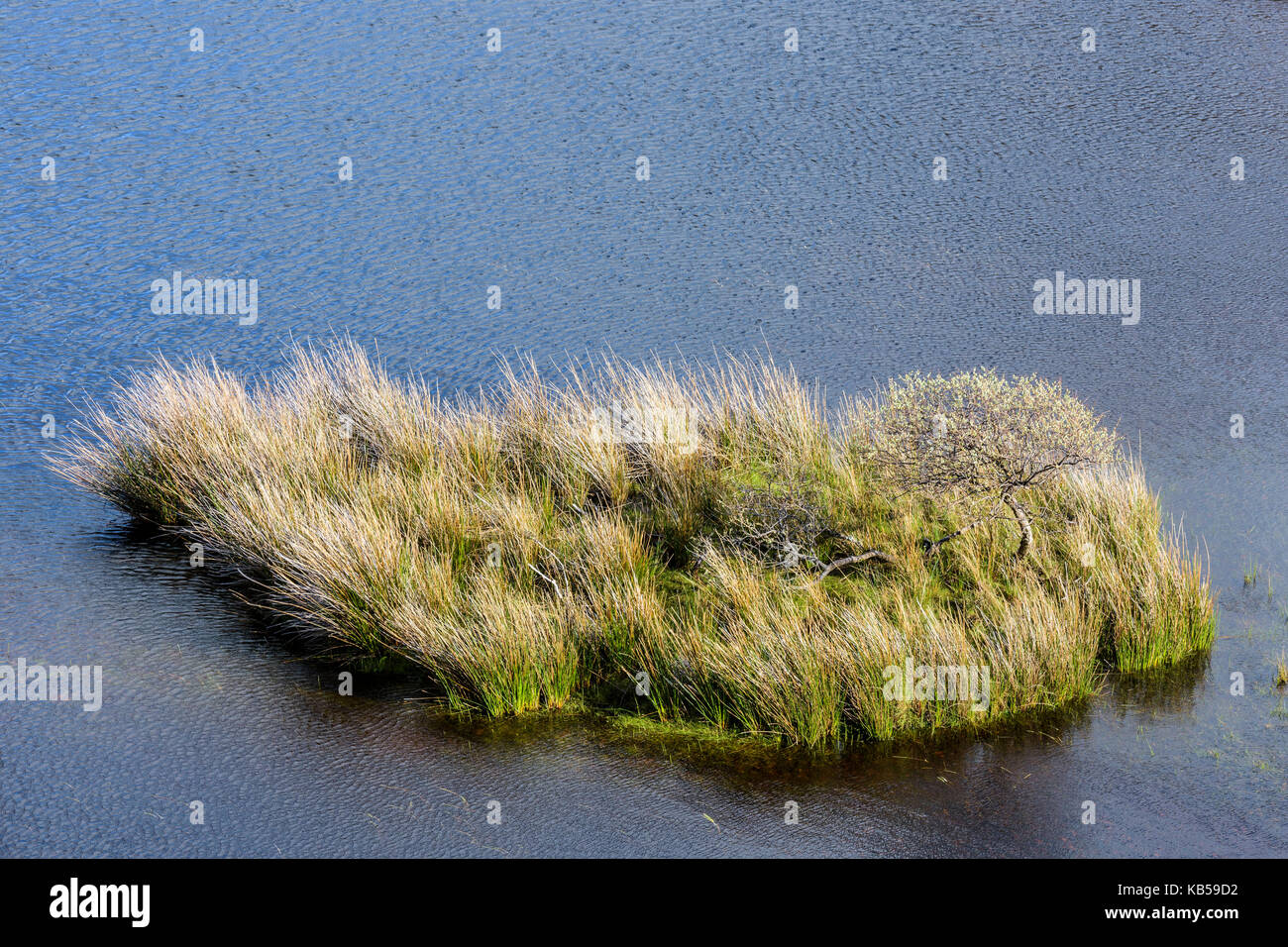 Gras Insel im See, Isle of Skye, Schottland, Vereinigtes Königreich Stockfoto