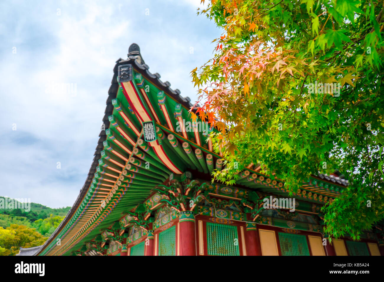 Bunte Muster auf den Tempel Dach mit Maple Leafs an Beomeosa Tempel in Busan, Südkorea Stockfoto