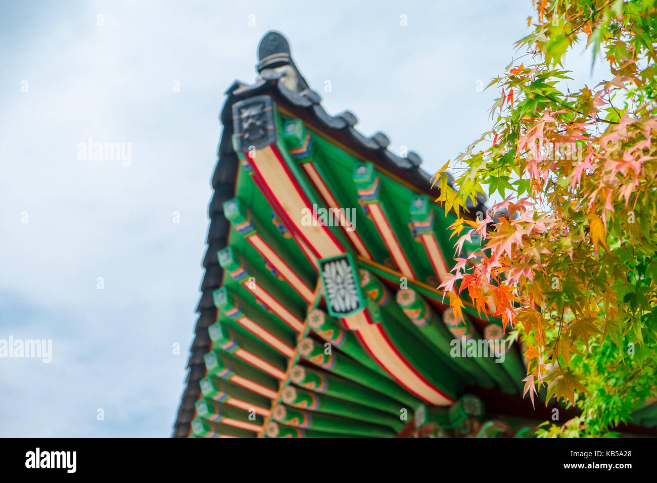 Bunte Muster auf den Tempel Dach mit Maple Leafs an Beomeosa Tempel in Busan, Südkorea Stockfoto