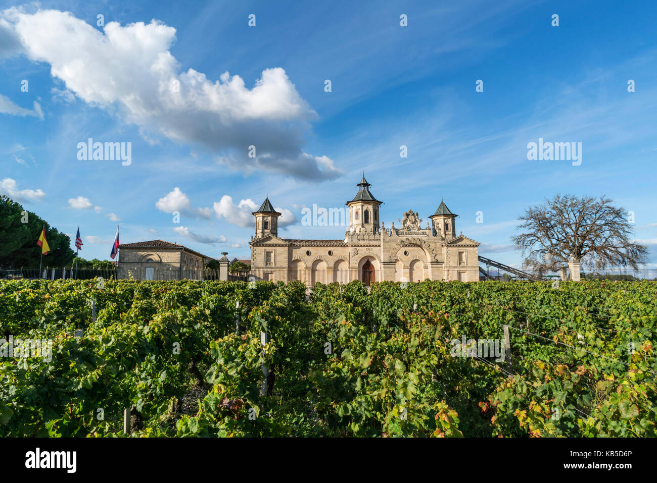 Cos d Estournel, Weinberge in Medoc, Bordeaux, Gironde, Aquitanien, Frankreich, Europa, Stockfoto