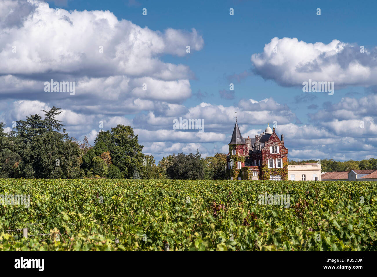 Weinberge in Medoc, Bordeaux, Gironde, Aquitanien, Frankreich, Europa, Chateau Lascombes, Weinberge in Medoc, Margeaux, Weinrebe, Bordeaux, Gironde, Aquit Stockfoto