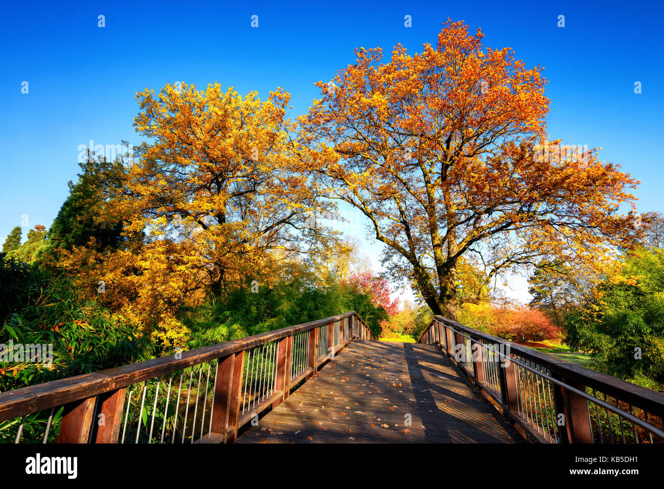 Hölzerne Brücke in einer idyllischen Herbst Szene an einem sonnigen Tag, mit tiefblauen Himmel und farbenfrohe Bäume Stockfoto