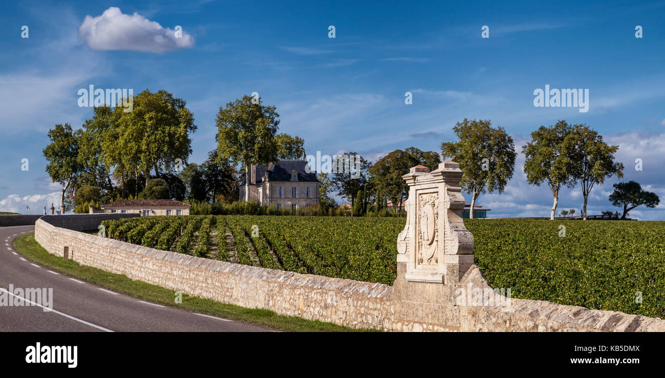 Chateau Latour, Weinberge in Medoc, Bordeaux, Gironde, Aquitanien, Frankreich, Europa, Stockfoto