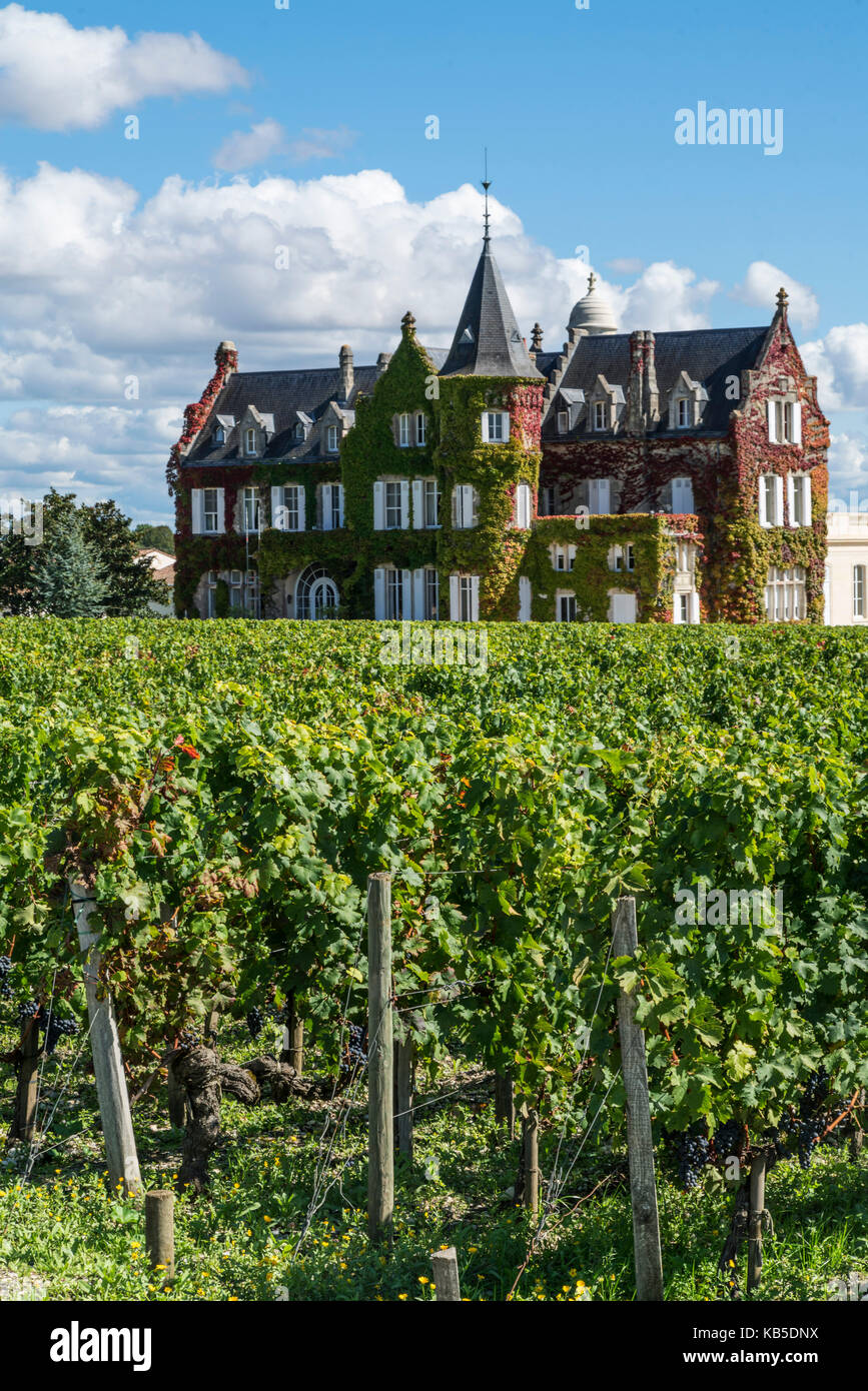 Weinberge in Medoc, Bordeaux, Gironde, Aquitanien, Frankreich, Europa, Chateau Lascombes, Weinberge in Medoc, Margeaux, Weinrebe, Bordeaux, Gironde, Aquit Stockfoto