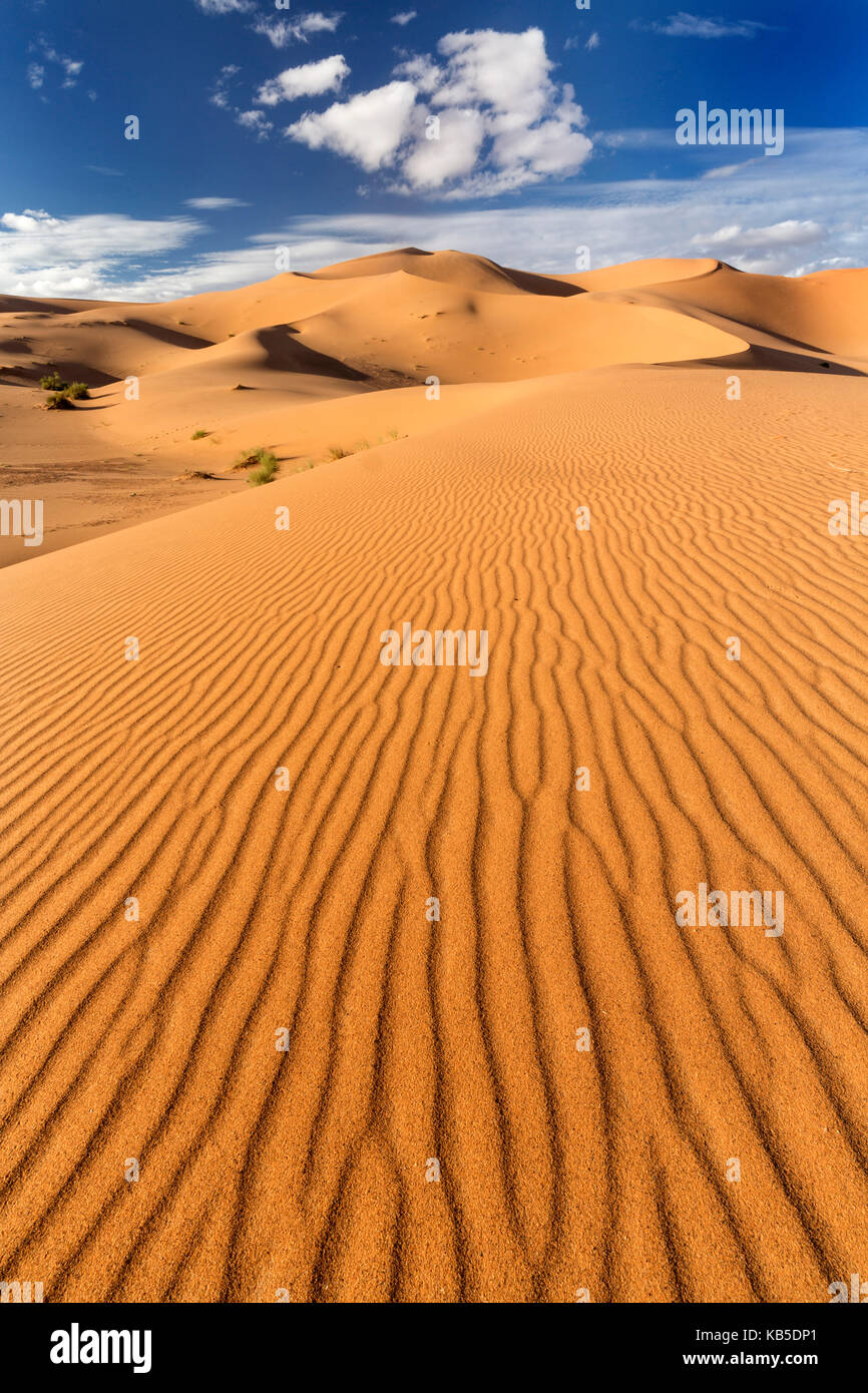 Weitwinkelaufnahme der Wellen und Dünen des Erg Chebbi Sand Meer, Teil der Sahara Wüste in der Nähe von Fes, Marokko Stockfoto