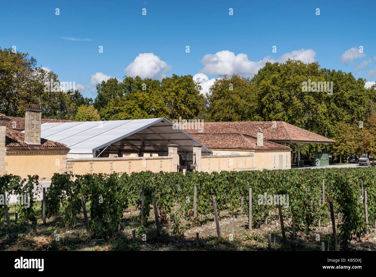 Weingut Chateau Margeaux , Weingut in Medoc, Margeaux, Nouveau Chai entworfen von Sir Norman Foster, Bordeaux, Gironde, Aquitaine, Frankreich, Europa, Stockfoto