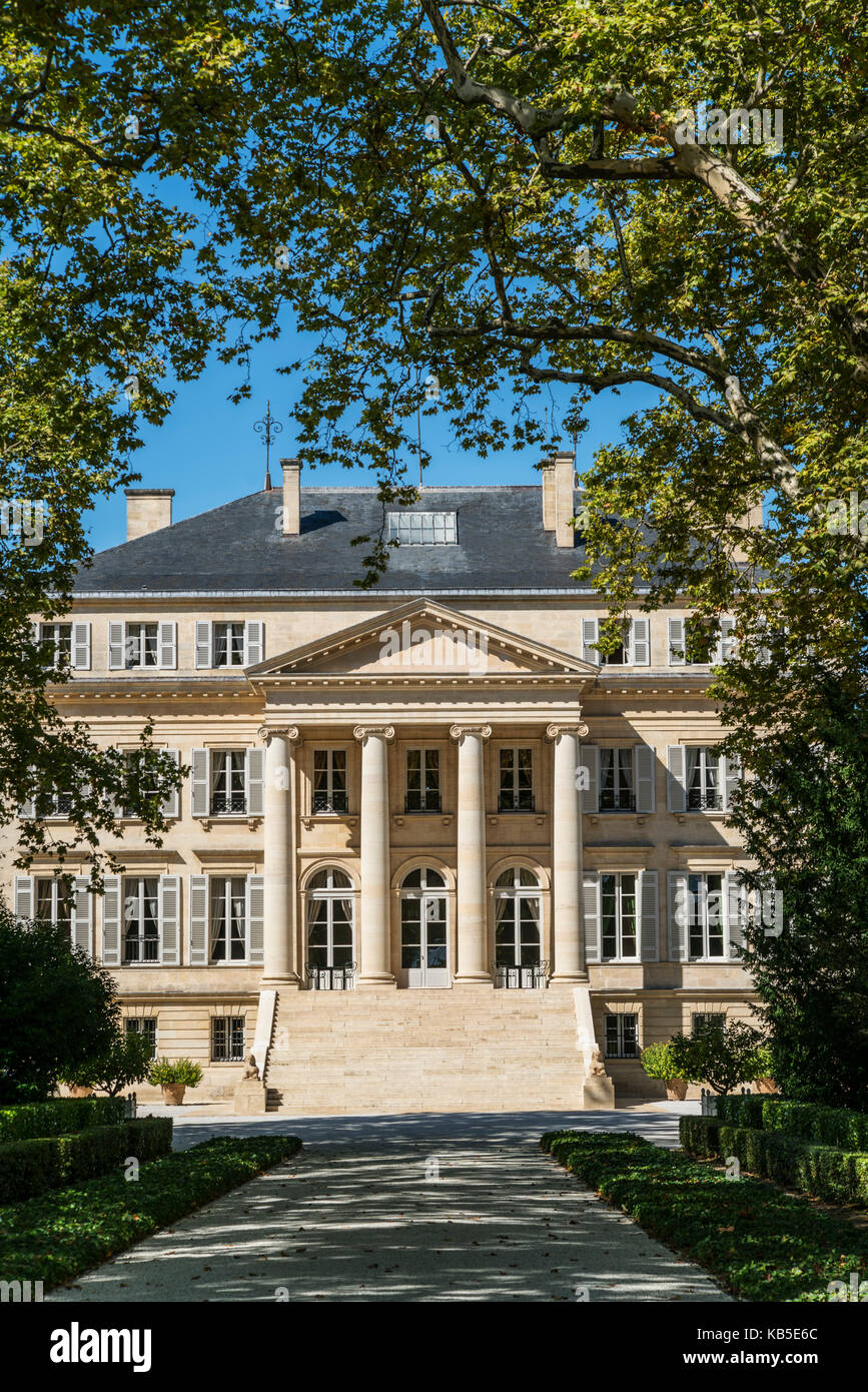 Chateau Margeaux, Weinberg in Medoc, Margeaux, Weinrebe, Bordeaux, Gironde, Aquitaine, Frankreich, Europa, Stockfoto