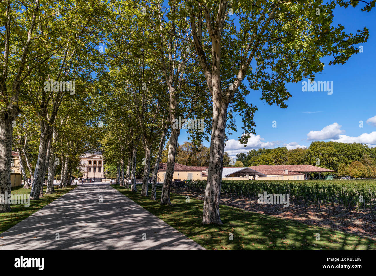 Weingut Chateau Margeaux , Weingut in Medoc, Margeaux, Nouveau Chai entworfen von Sir Norman Foster, Bordeaux, Gironde, Aquitaine, Frankreich, Europa, Stockfoto