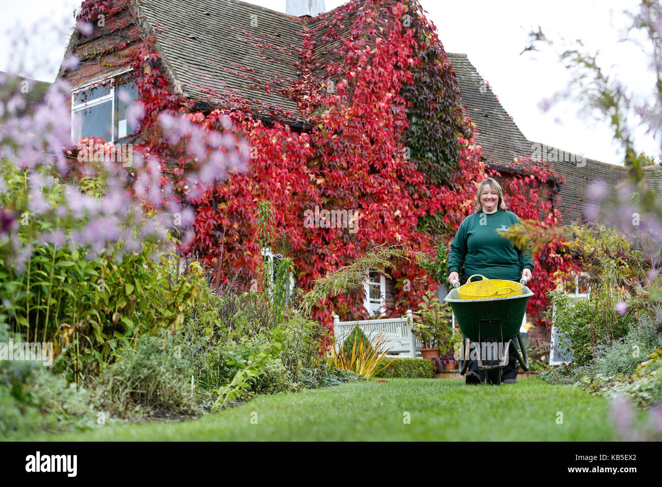Gärtnerische Praktiker Judith Felder Spaziergänge mit Ihrem Schubkarre durch die herbstliche Farben auf dem Winterbourne Haus und Gärten in Birmingham. Stockfoto
