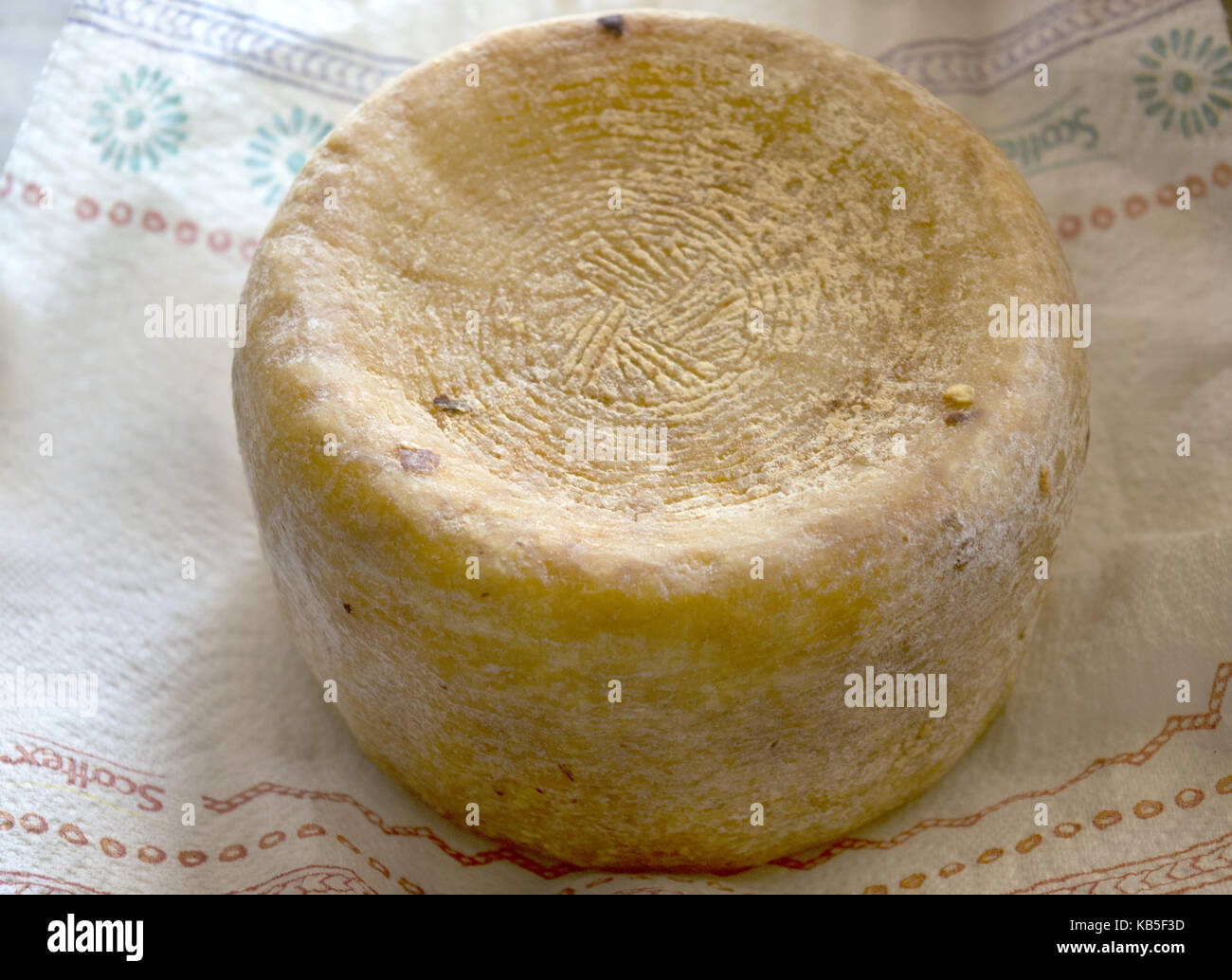 Toskanischen pecorino ganze Käse sehr Reifen Stockfoto