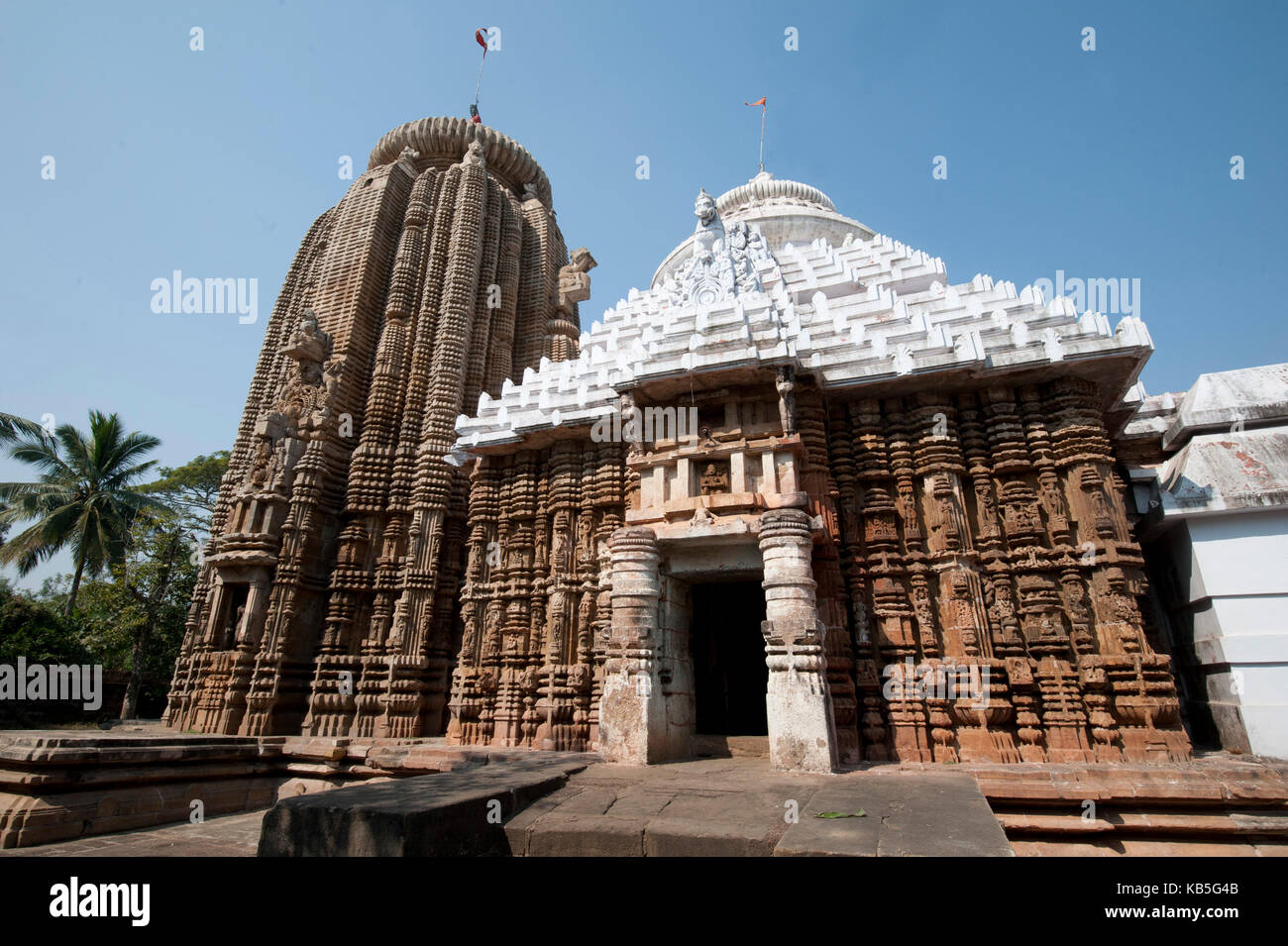 Kunstvoll geschnitzten 13. Jahrhundert Vimana und Jagamohana Abschnitte der Madhava Tempel Lord Vishnu, Madhava, Odisha, Indien gewidmet Stockfoto