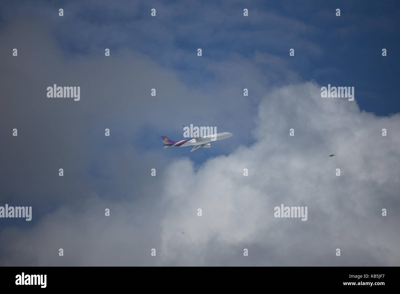 CHIANG MAI, THAILAND - 17. SEPTEMBER 2017: HS-tet Airbus A330-300 von Thaiairway TG 111. Von Chiangmai Flughafen in Bangkok. Stockfoto