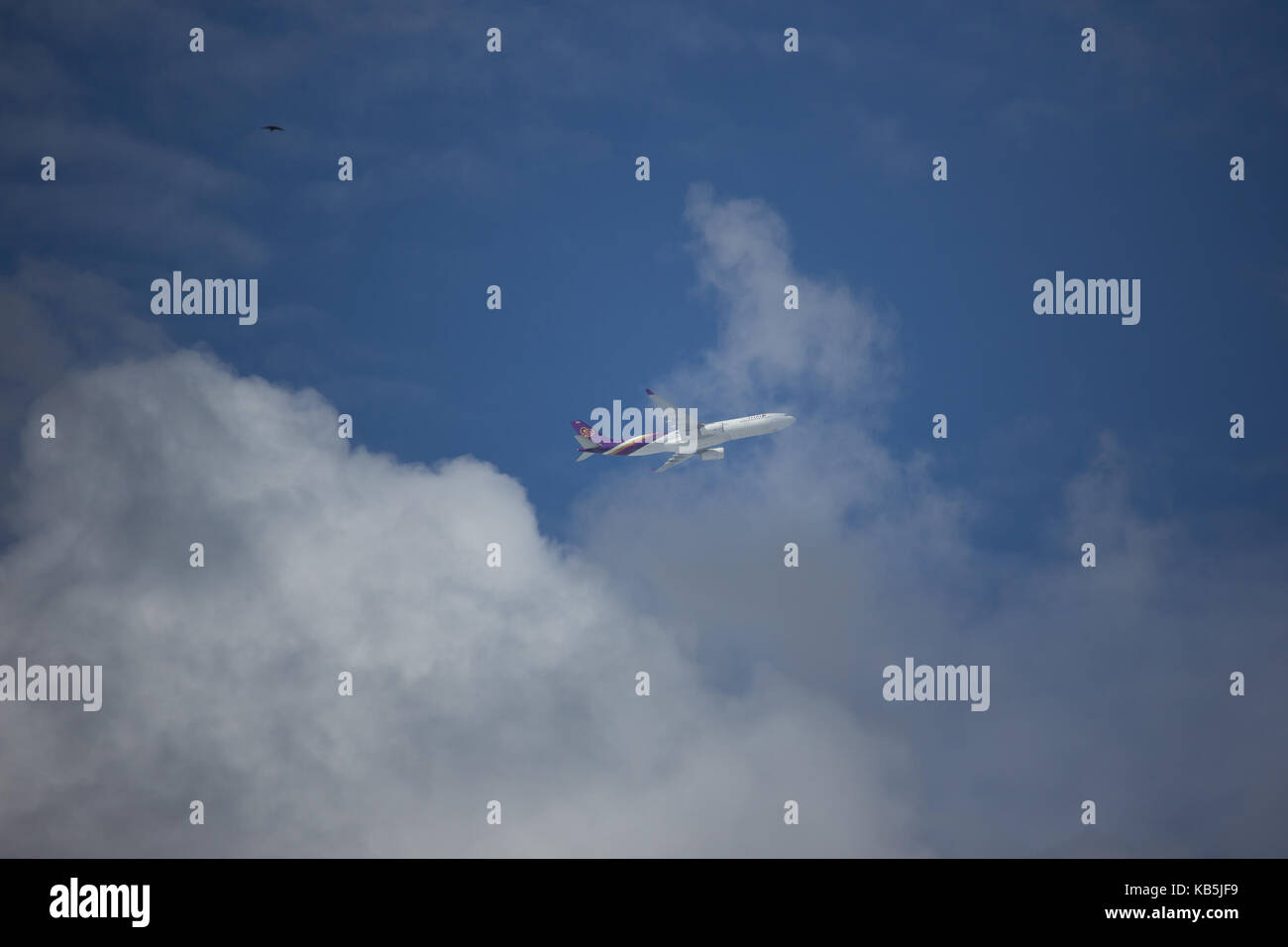 CHIANG MAI, THAILAND - 17. SEPTEMBER 2017: HS-tet Airbus A330-300 von Thaiairway TG 111. Von Chiangmai Flughafen in Bangkok. Stockfoto