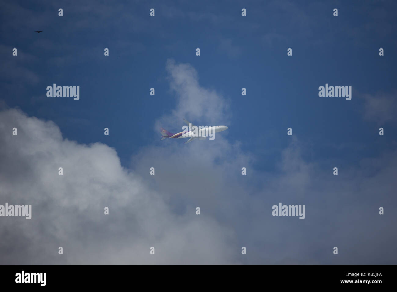 CHIANG MAI, THAILAND - 17. SEPTEMBER 2017: HS-tet Airbus A330-300 von Thaiairway TG 111. Von Chiangmai Flughafen in Bangkok. Stockfoto