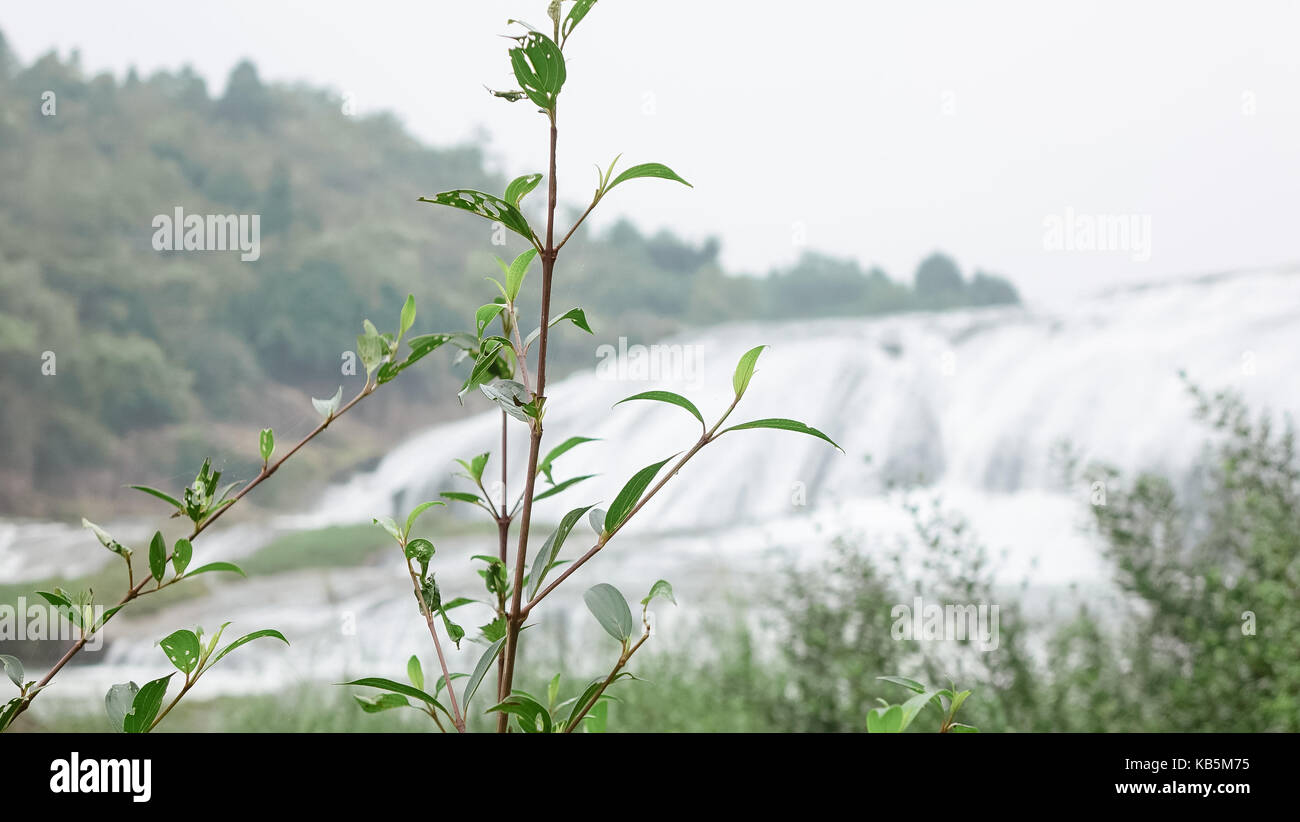 , Anshun Anshun, China. 28 Sep, 2017. Anshun, CHINA - September 2017 EDITORIAL: (NUR ZU VERWENDEN. CHINA) Landschaft des Huangguoshu Wasserfall landschaftlich reizvollen Gegend in Anshun, Südwesten Chinas Provinz Guizhou. Die huangguoshu Wasserfall, der größte Wasserfall in der Volksrepublik China und eine der berühmtesten der Welt, ist der einzige Wasserfall auf diesem Planeten, die von oben betrachtet werden können, unten, vorne, hinten, links und rechts. Es ist 77,8 Meter hoch und 101 Meter breit. Der Wasserfall ist 67 Meter hoch und 79 Meter breit. Wasservorhang Höhle, ein 134-Meter natürlichen Korridor hinter dem Wasserfall, der Besuchern ermöglicht, wa Stockfoto