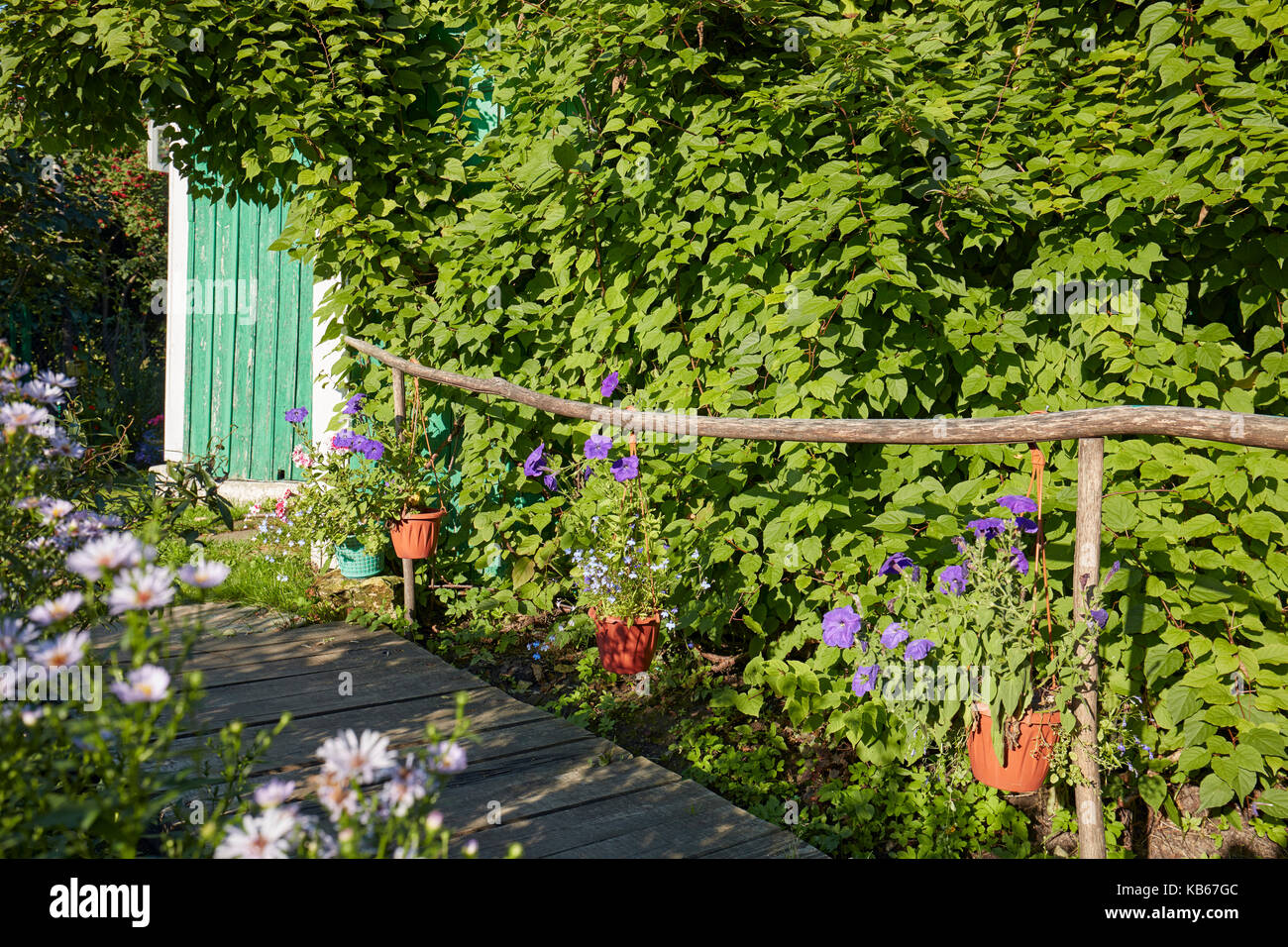Datscha Garten im Sommer. Region Kaluga, Russland. Stockfoto